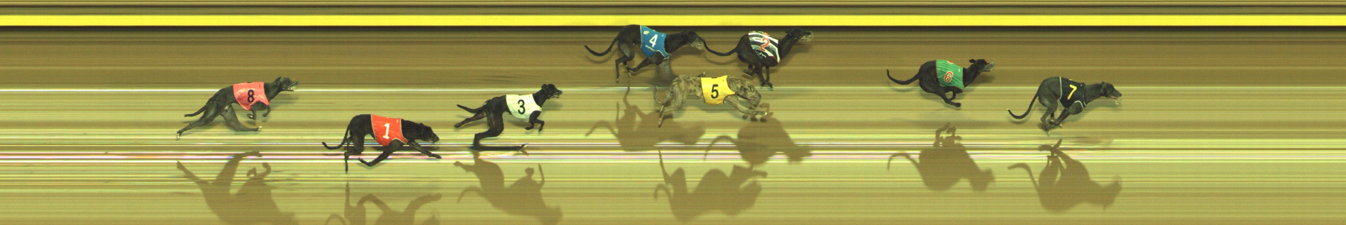 Race result finish photo