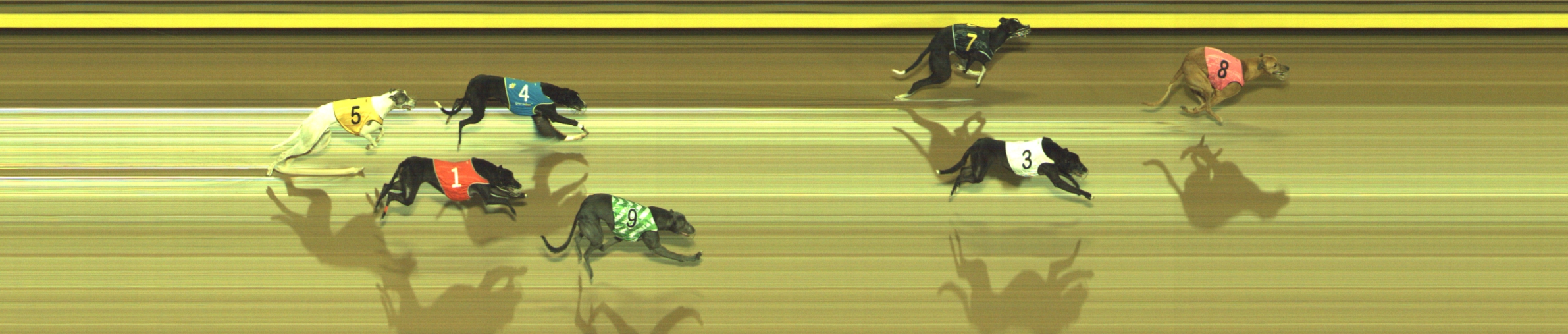 Race result finish photo