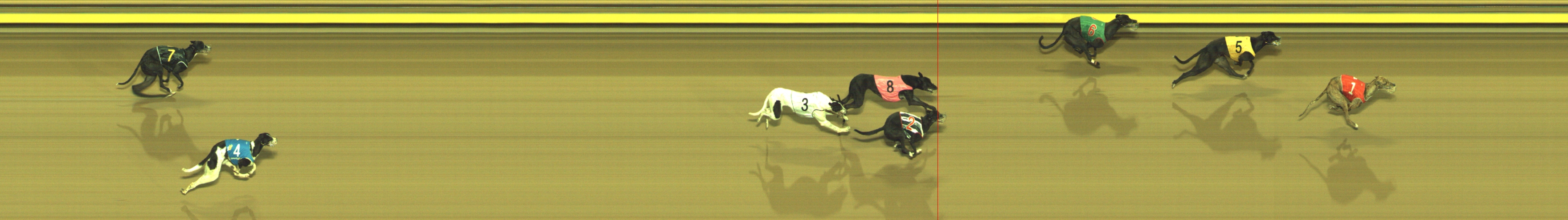Race result finish photo