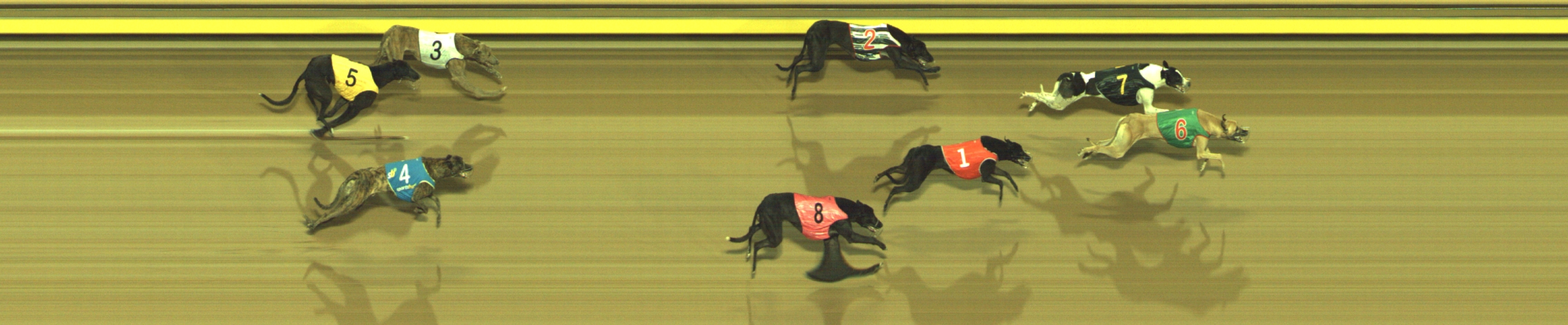 Photo finish for Geelong Race 2