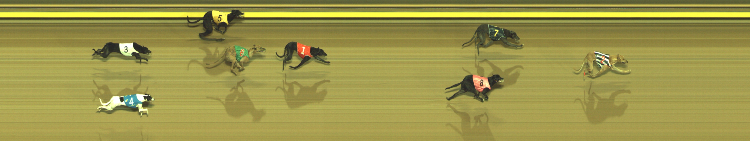 Photo finish for Geelong Race 3