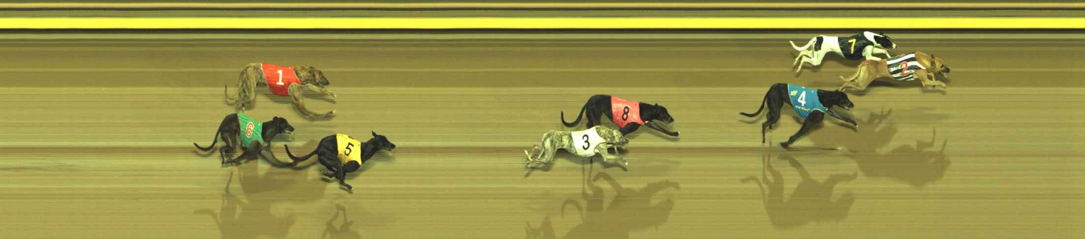 Photo finish for Geelong Race 4