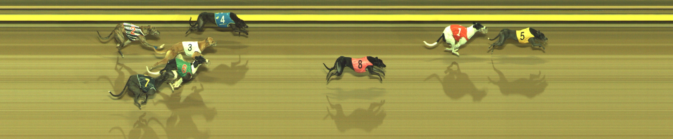 Photo finish for Geelong Race 6