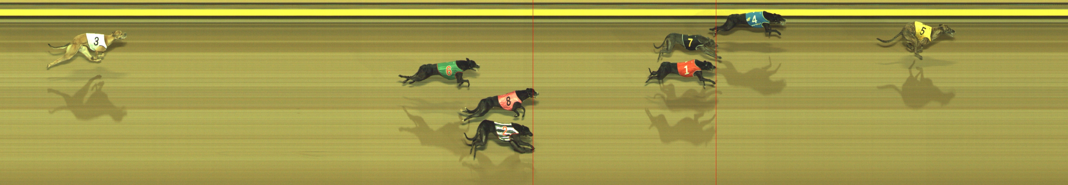 Photo finish for Geelong Race 7