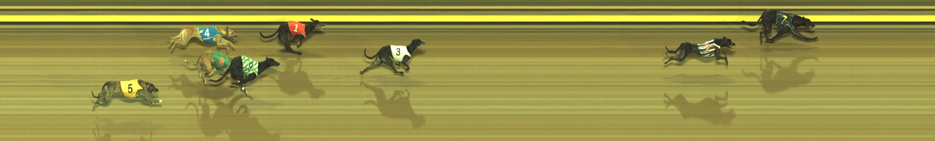Photo finish for Geelong Race 8