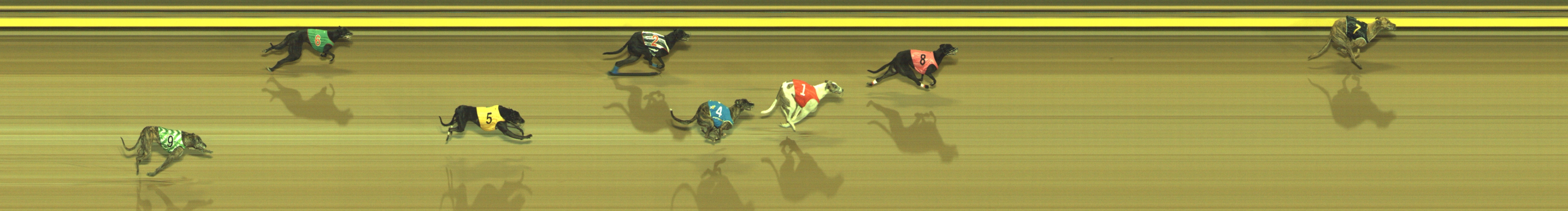 Photo finish for Geelong Race 10