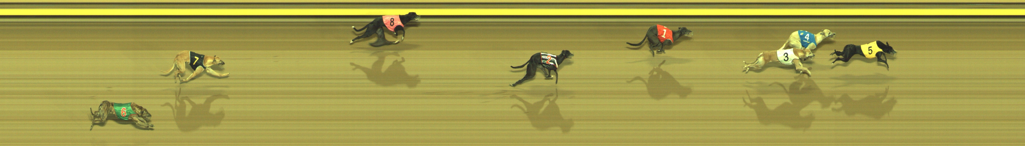 Photo finish for Geelong Race 11