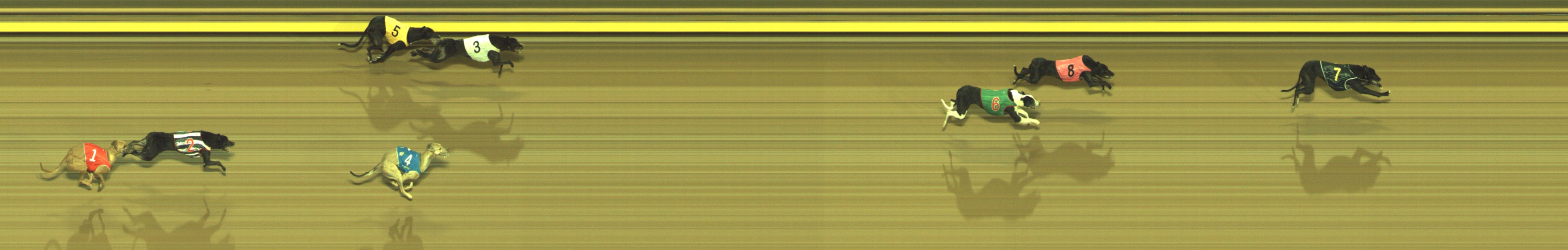 Photo finish for Geelong Race 12