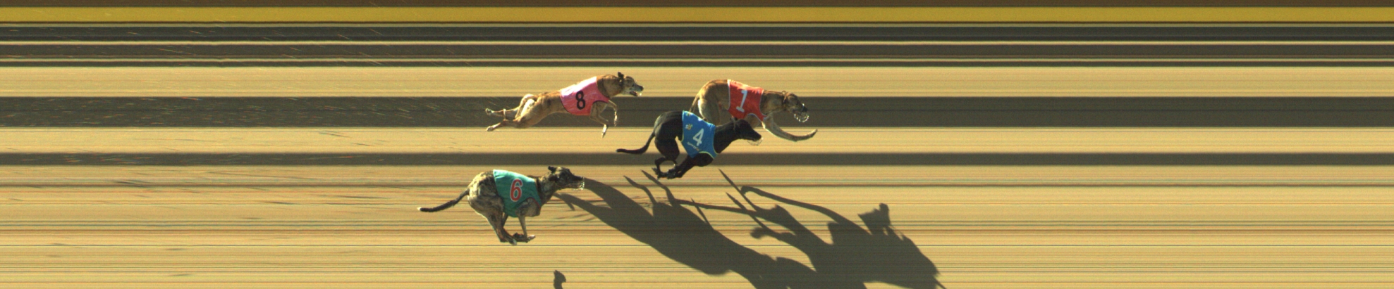 Race result finish photo