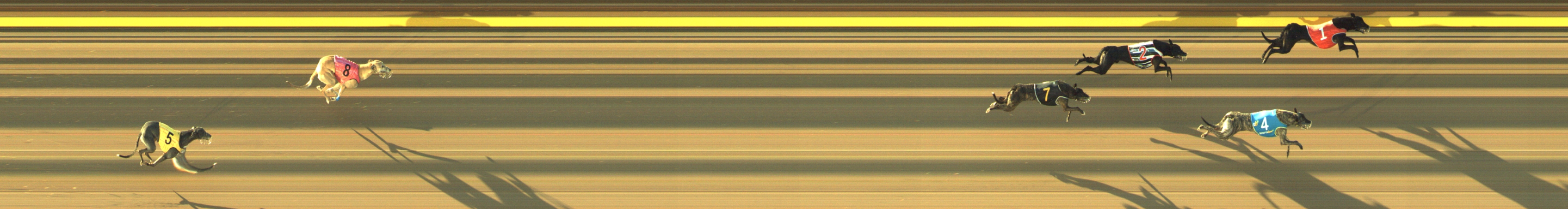 Photo finish for Geelong Race 4