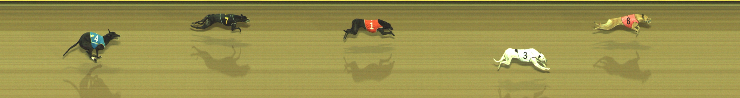 Photo finish for Geelong Race 6