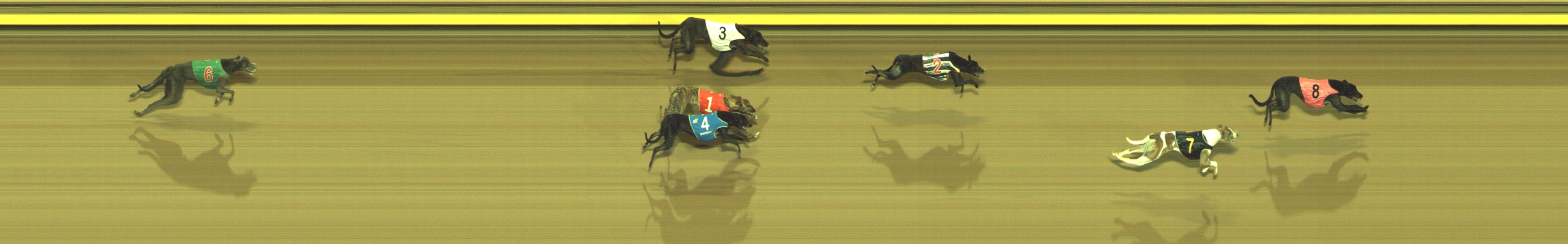Photo finish for Geelong Race 7