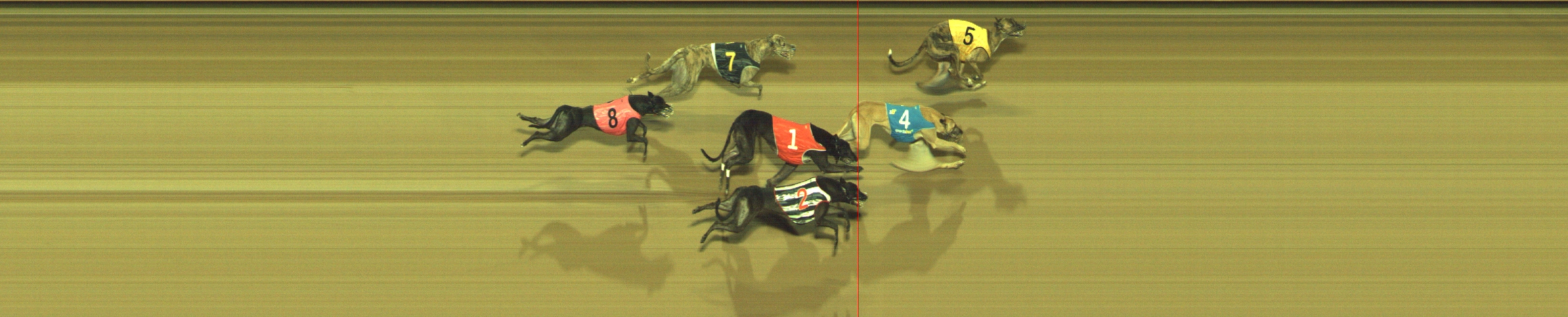 Photo finish for Geelong Race 8