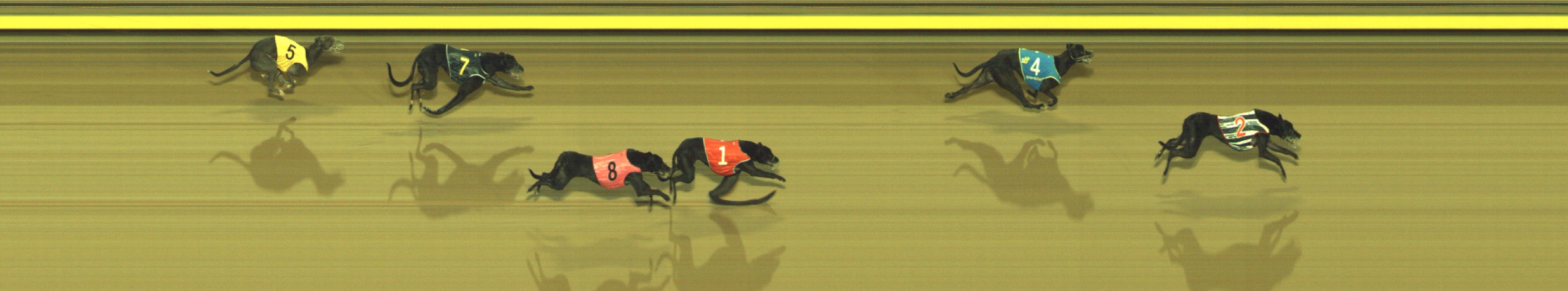 Race result finish photo