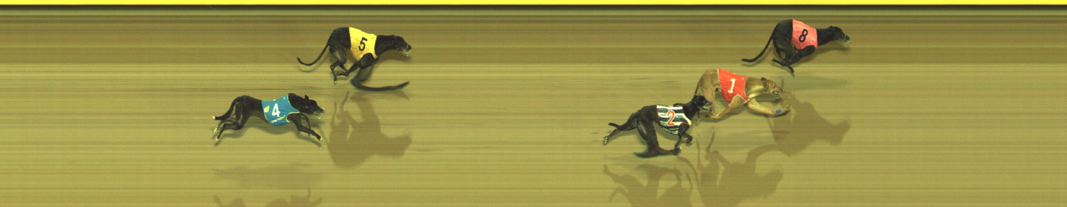 Photo finish for Geelong Race 10