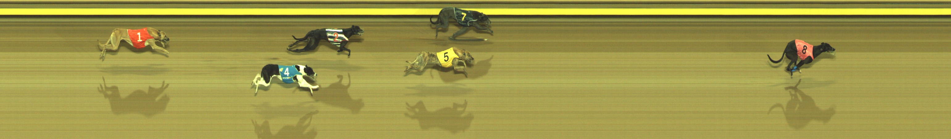 Race result finish photo
