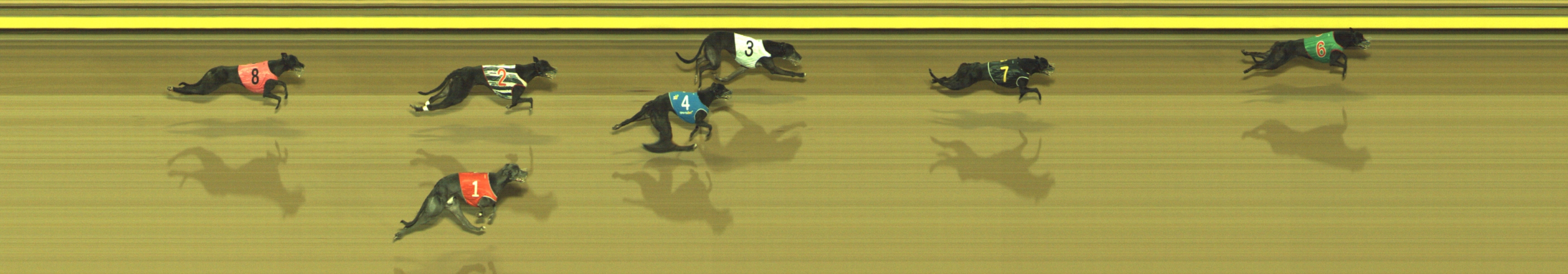 Photo finish for Geelong Race 12