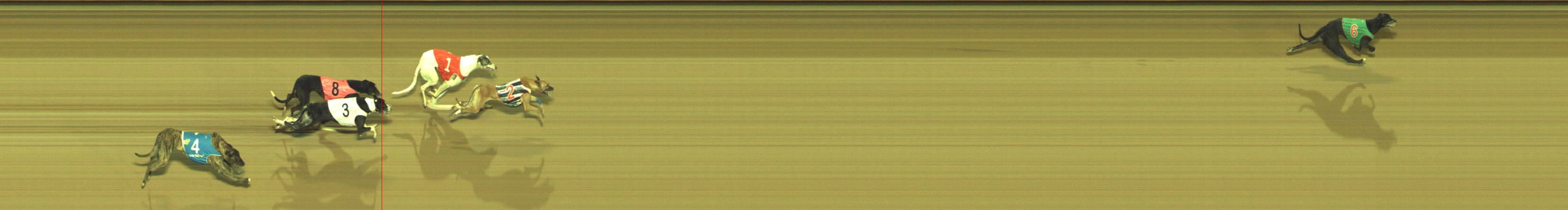 Photo finish for Geelong Race 13