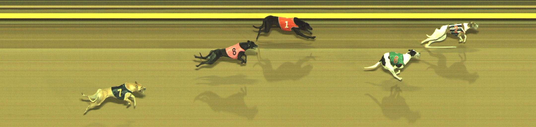 Race result finish photo