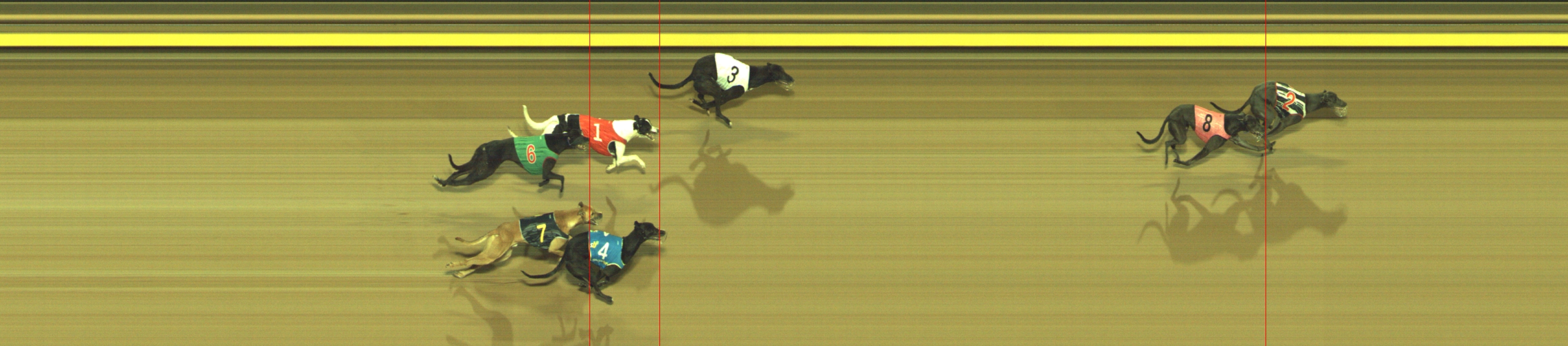Photo finish for Geelong Race 2