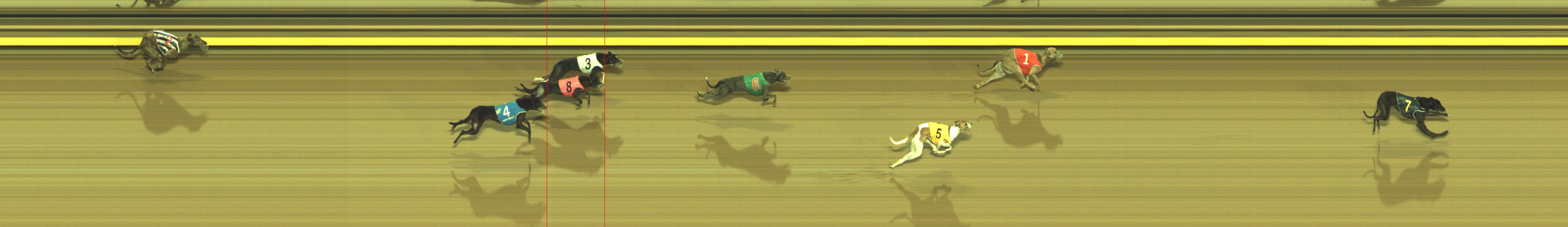 Photo finish for Geelong Race 3
