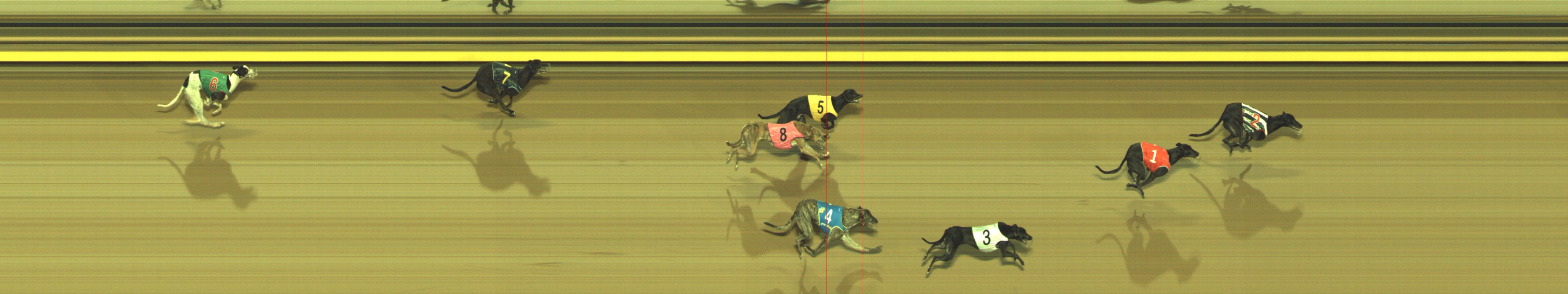 Photo finish for Geelong Race 4