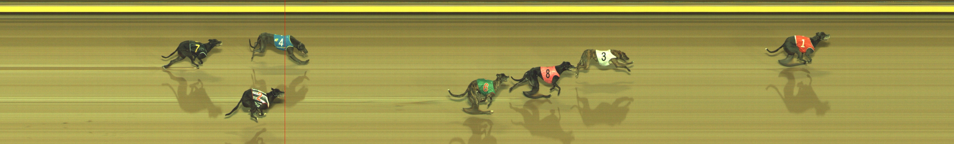 Photo finish for Geelong Race 6