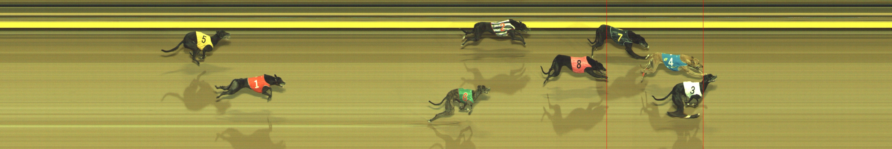 Photo finish for Geelong Race 7