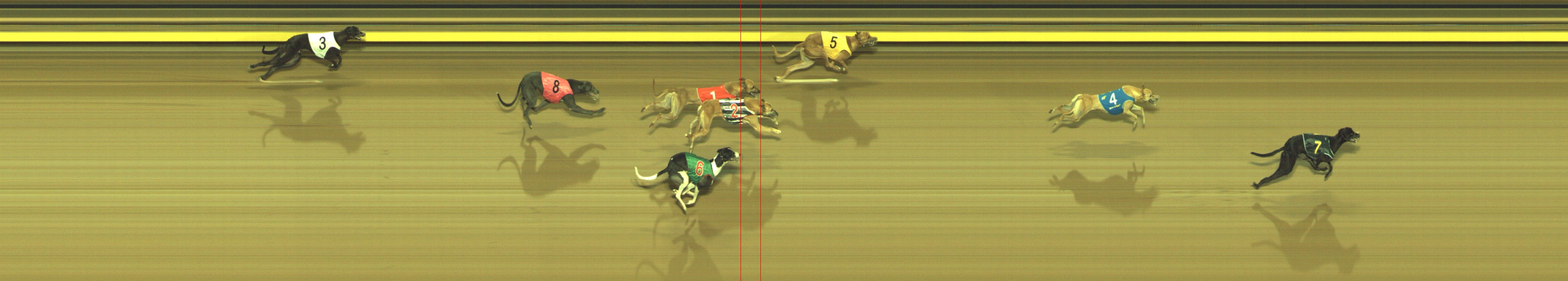Photo finish for Geelong Race 8