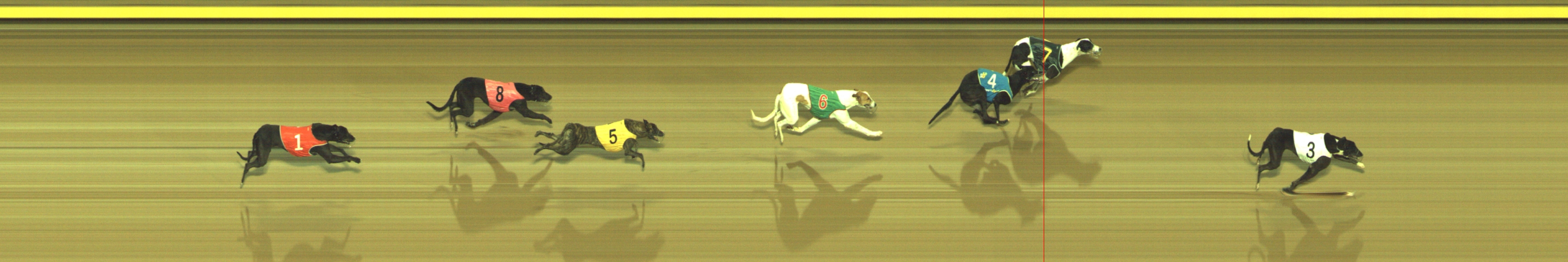 Photo finish for Geelong Race 9