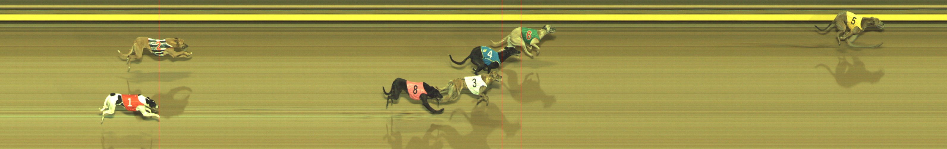 Photo finish for Geelong Race 10