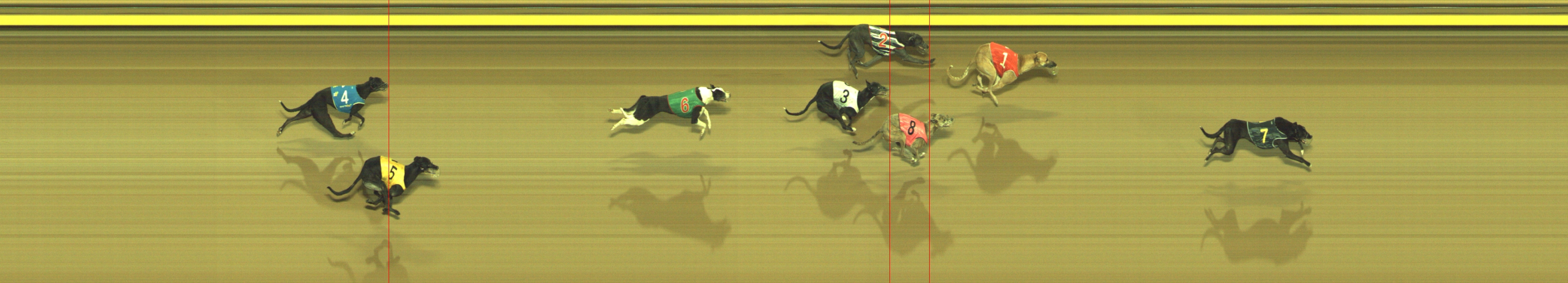 Photo finish for Geelong Race 12