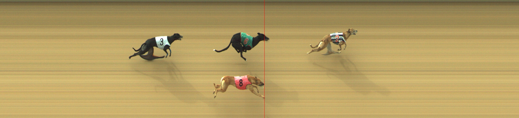 Race result finish photo