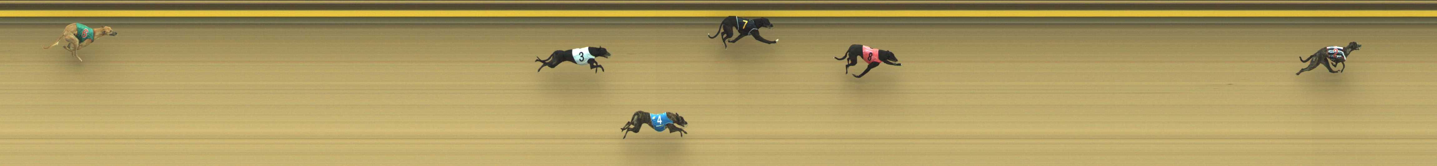 Race result finish photo