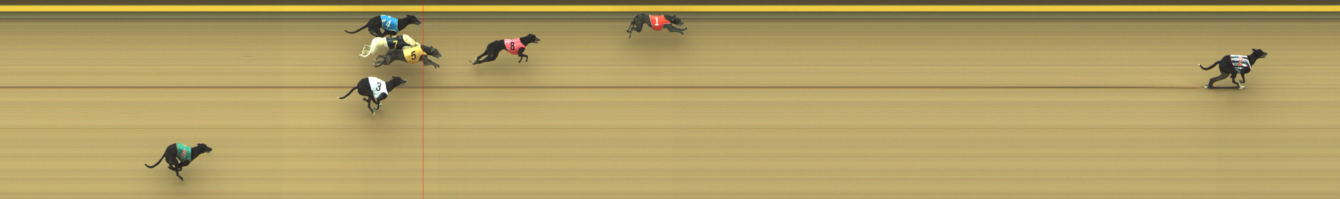 Race result finish photo