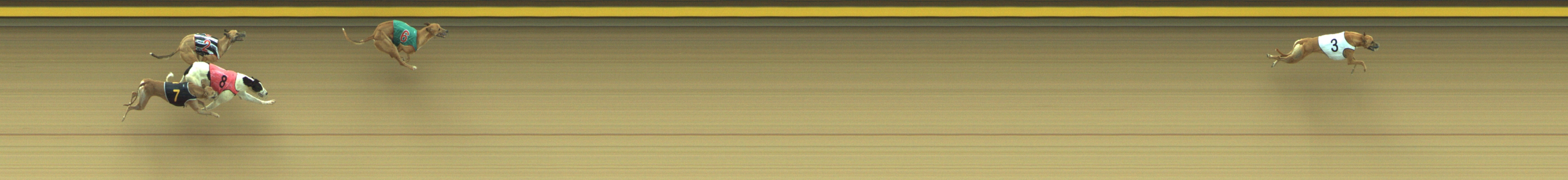 Race result finish photo