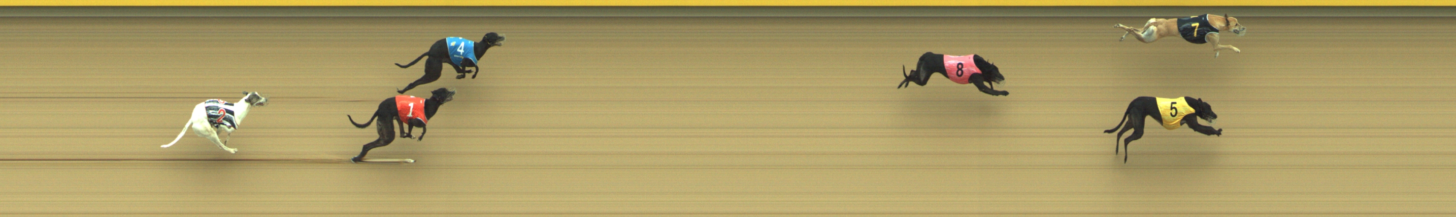 Race result finish photo