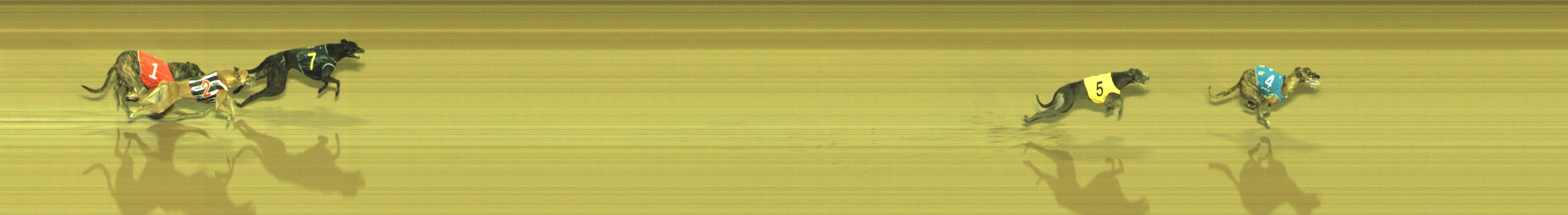 Race result finish photo