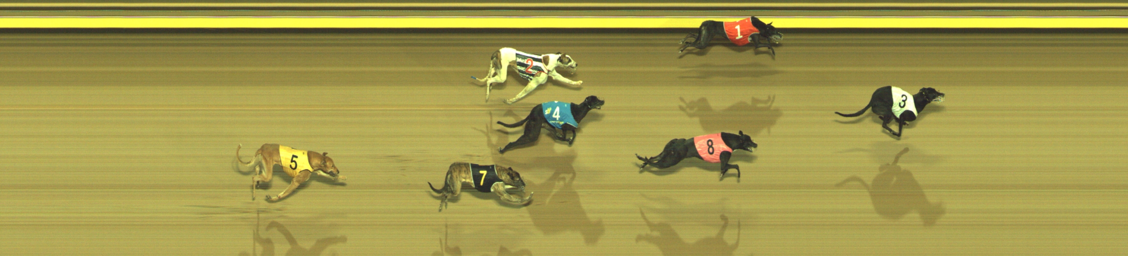 Race result finish photo