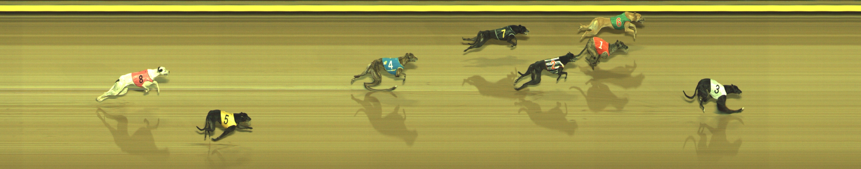 Race result finish photo