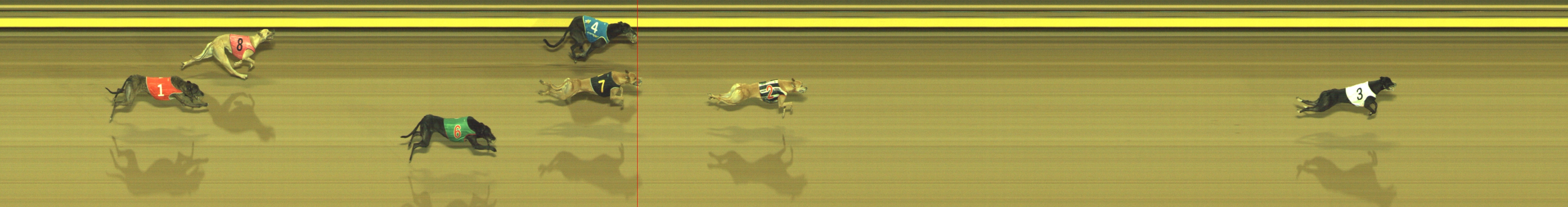 Race result finish photo