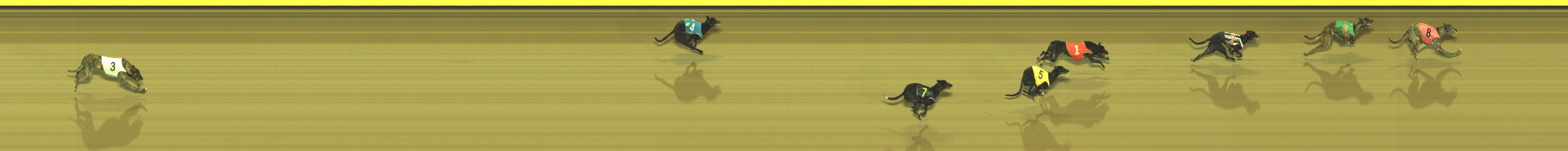 Race result finish photo