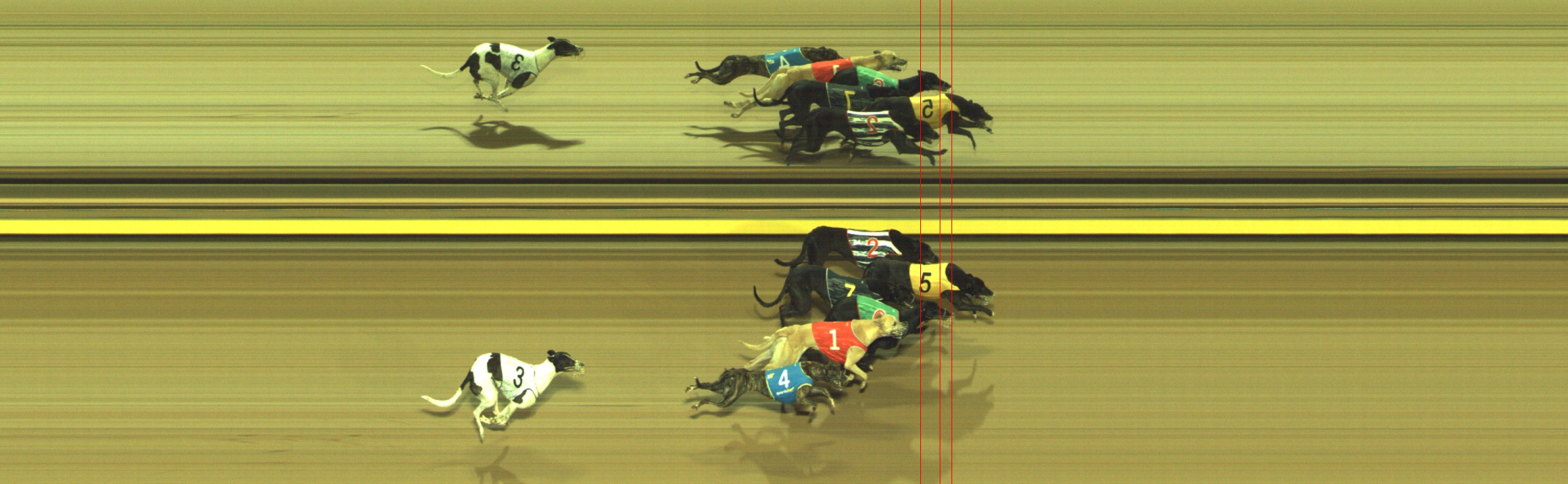 Photo finish for Geelong Race 1