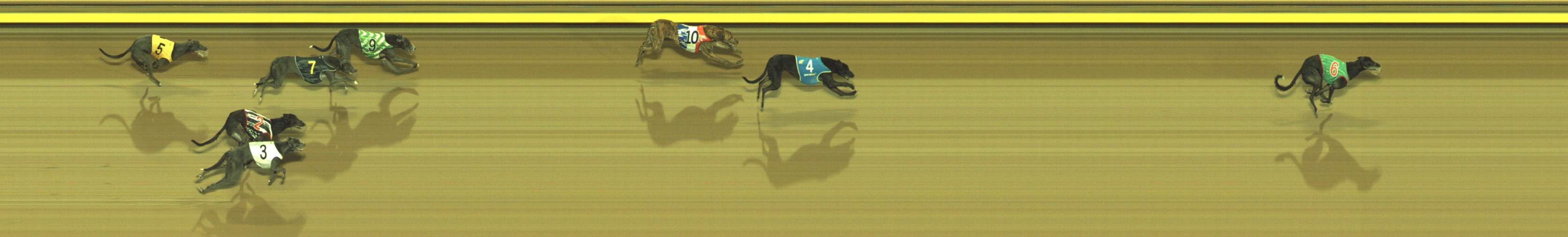 Photo finish for Geelong Race 5