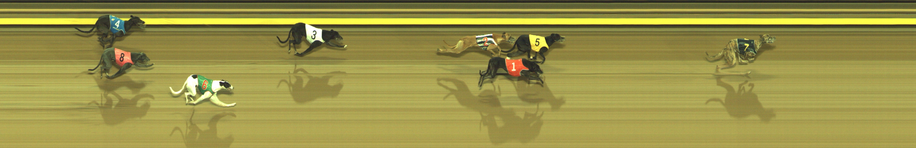 Photo finish for Geelong Race 6