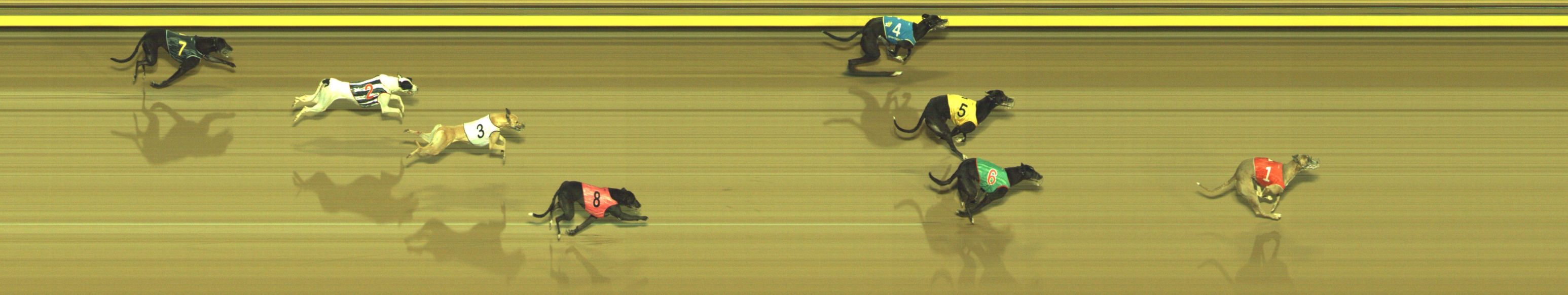 Photo finish for Geelong Race 7