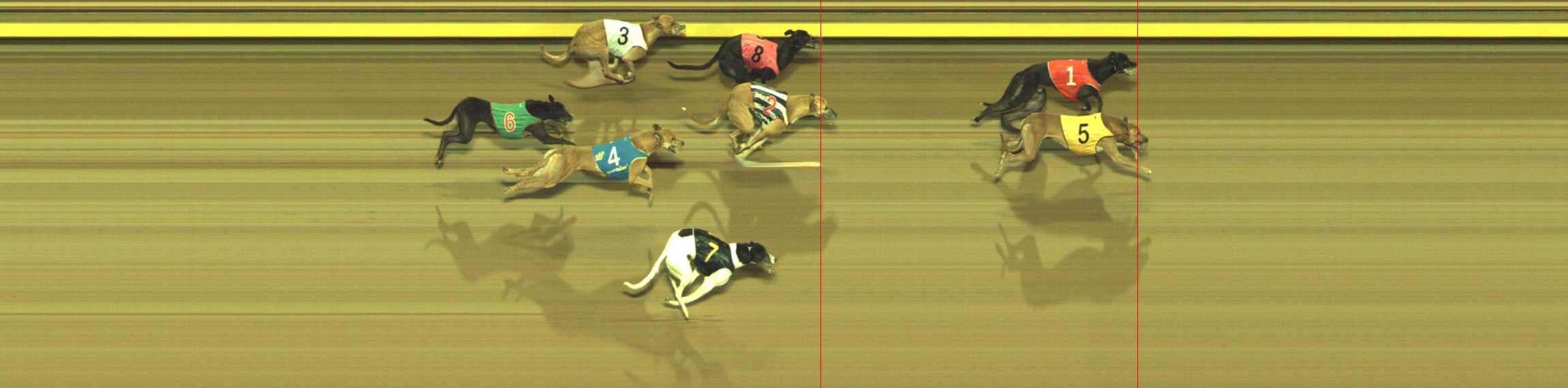 Photo finish for Geelong Race 8