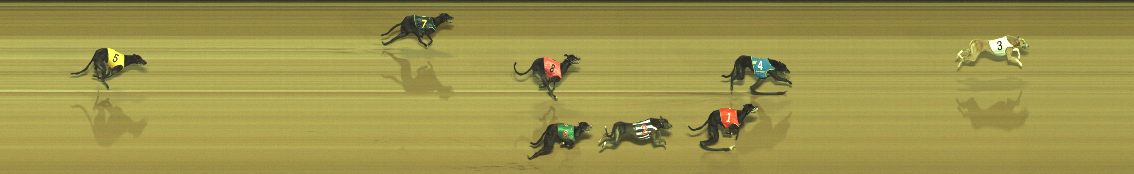 Photo finish for Geelong Race 9