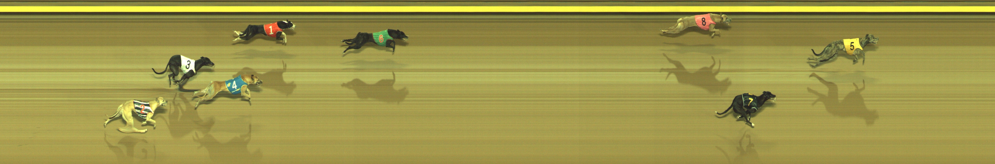 Photo finish for Geelong Race 10