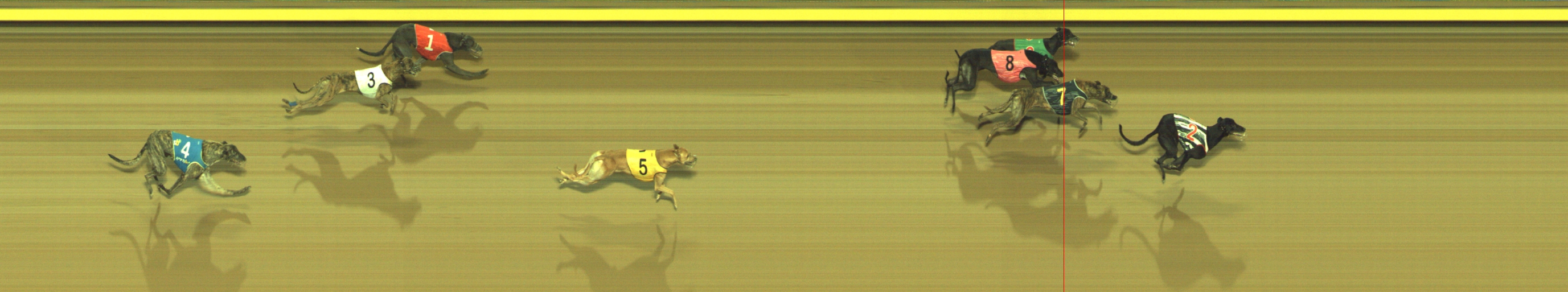 Photo finish for Geelong Race 11